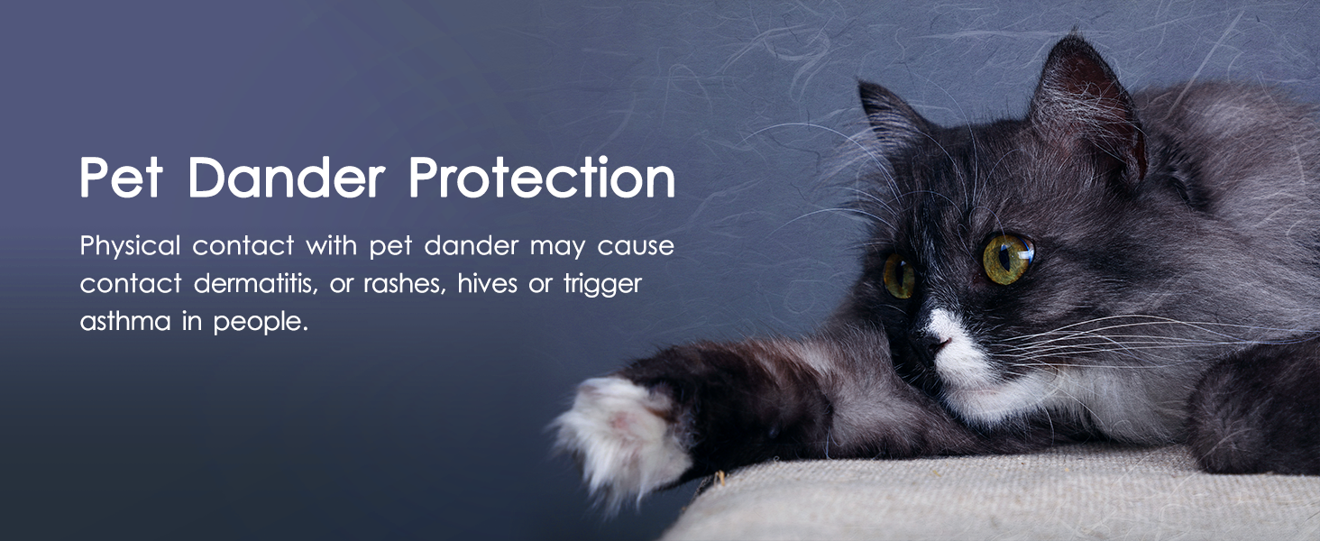 air purifier for pets