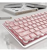 SEUNKWANG EWEADN X7S Wireless Keyboard with White Backlit, Metal Panel, 2.4G Rechargeable Compute...