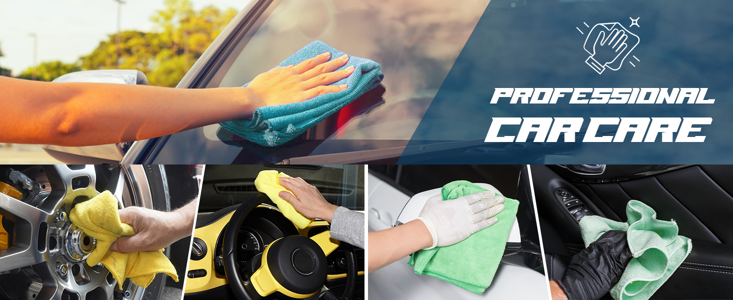 professional car care