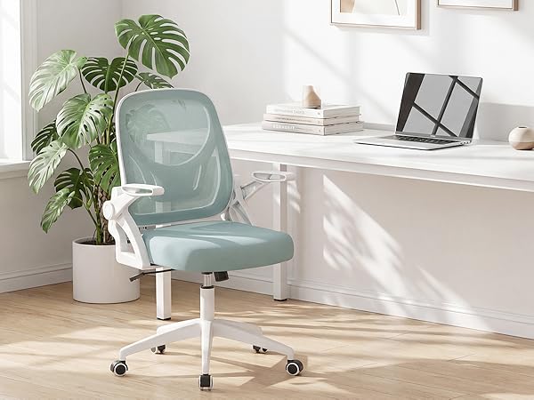 economic desk chair