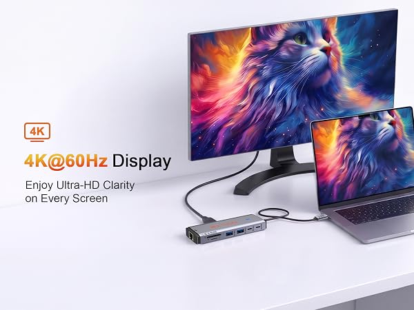 usb-c docking station dual monitor