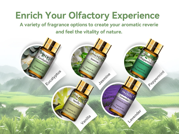 PHATOIL Essential Oils Gift Set