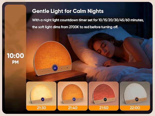Light Therapy Lamp and Sunrise Alarm Clock 2-in-1, 10000 Lux Happy Therapy