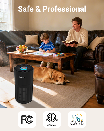 Air purifier for home