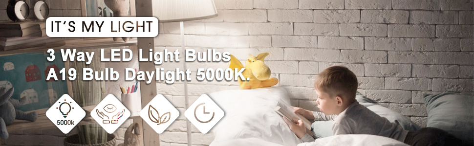 3 Way LED Light Bulbs