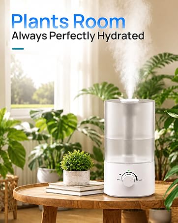 humidifier