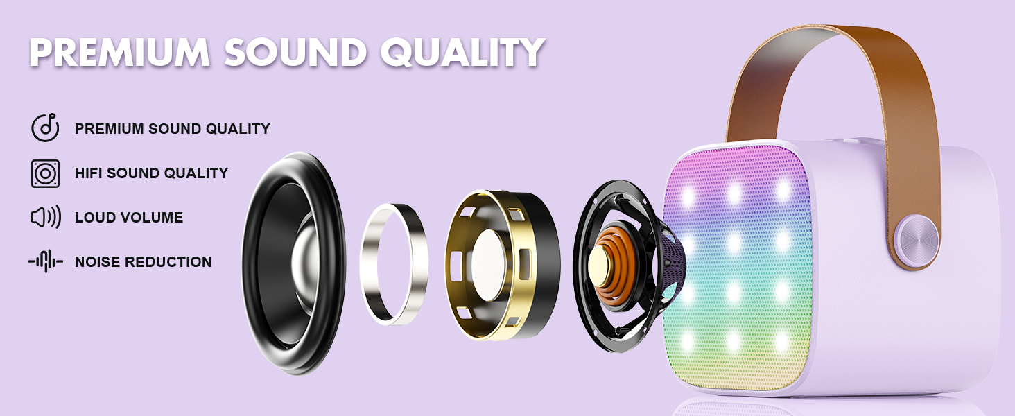 Karaoke Machine High Sound Quality