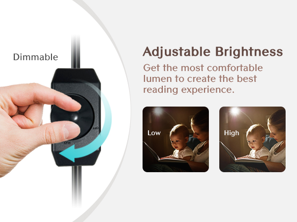 Adjustable Brightness