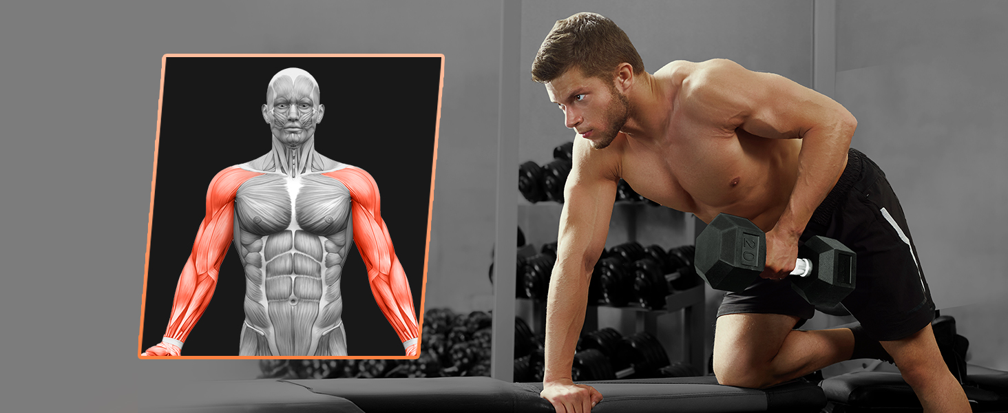 dumbbell weight for exercise and strength training