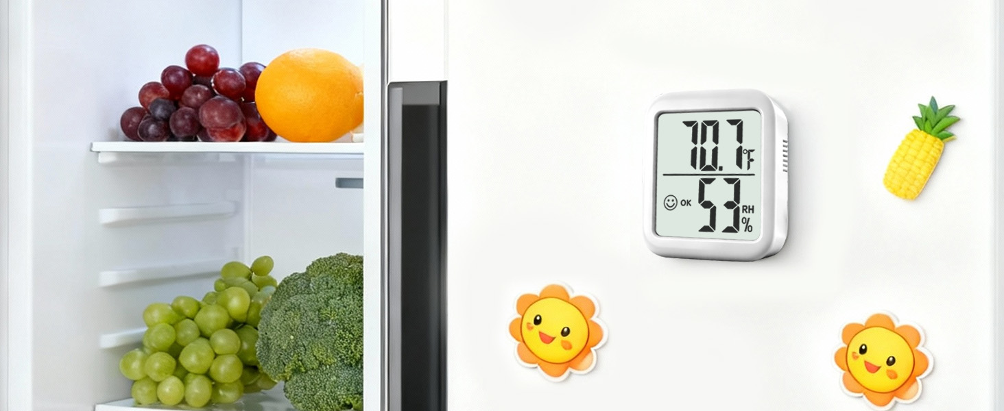 thermometer and humidity gauge