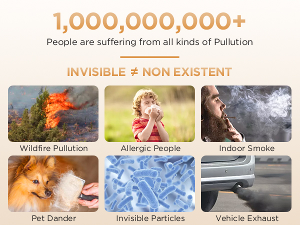 showing what air purifier removes wildfire, dust, pollen, smoke, pet dander, cooking odors, VOCs