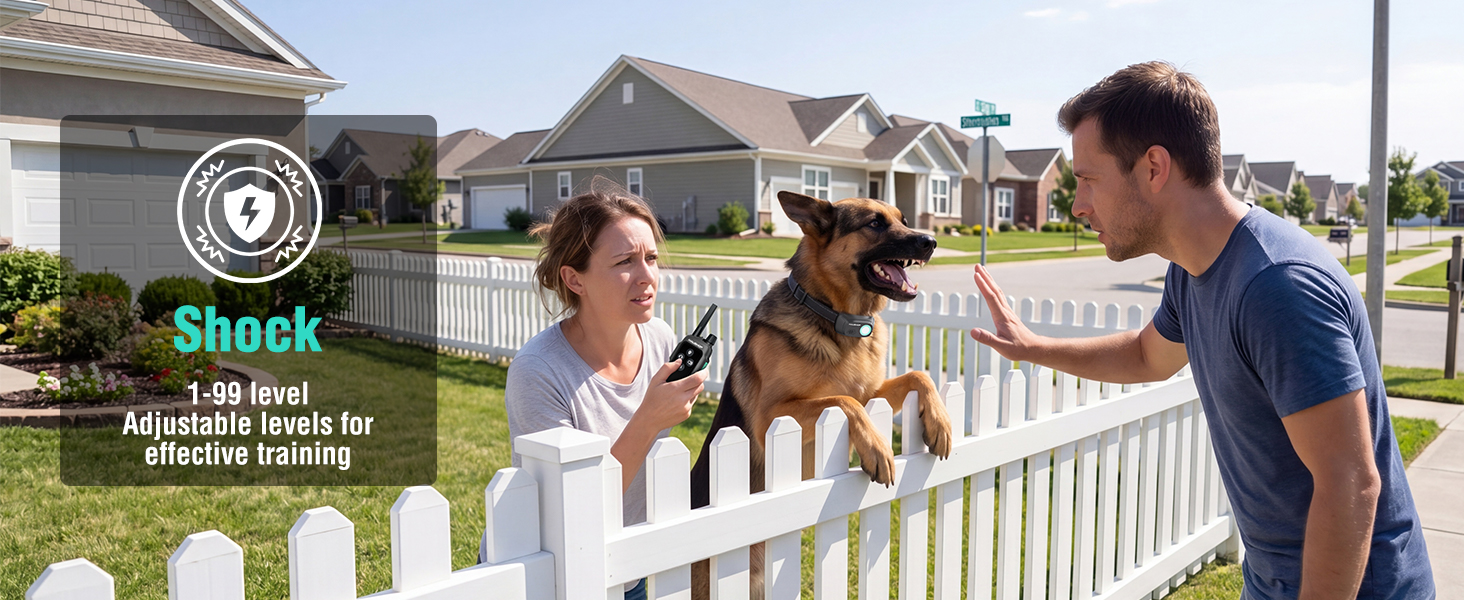 dog shock collar