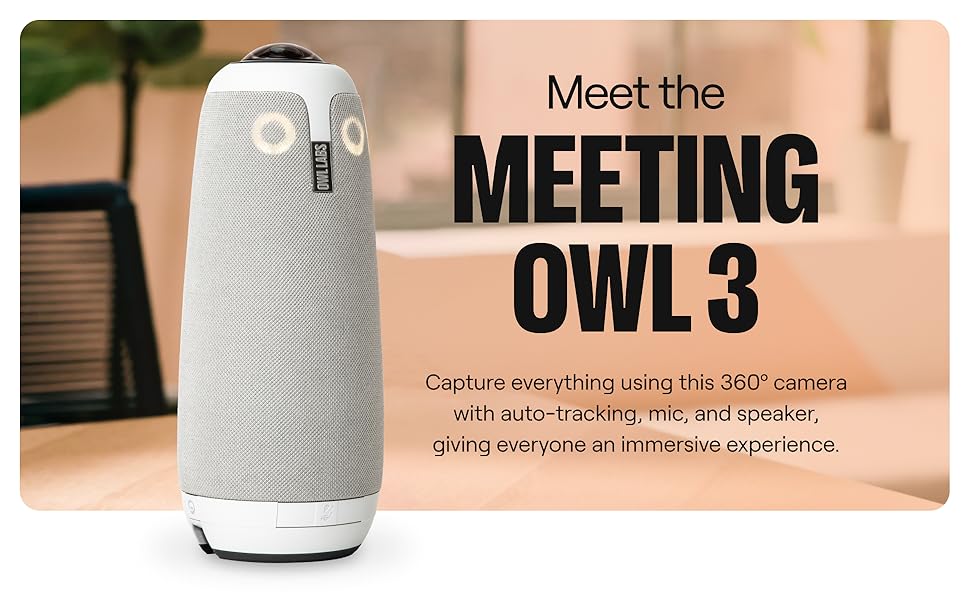 Meeting Owl 3