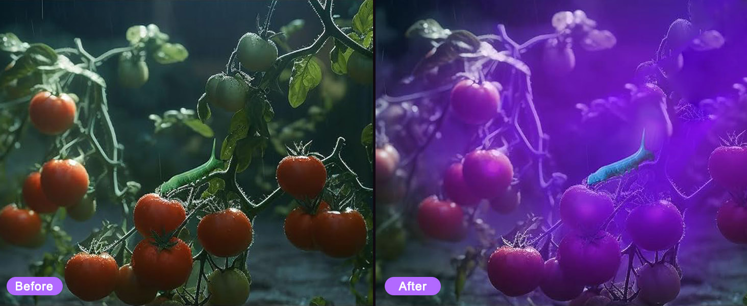 flashlight flashlights high rechargeable lumens led powered battery flash bright powerful