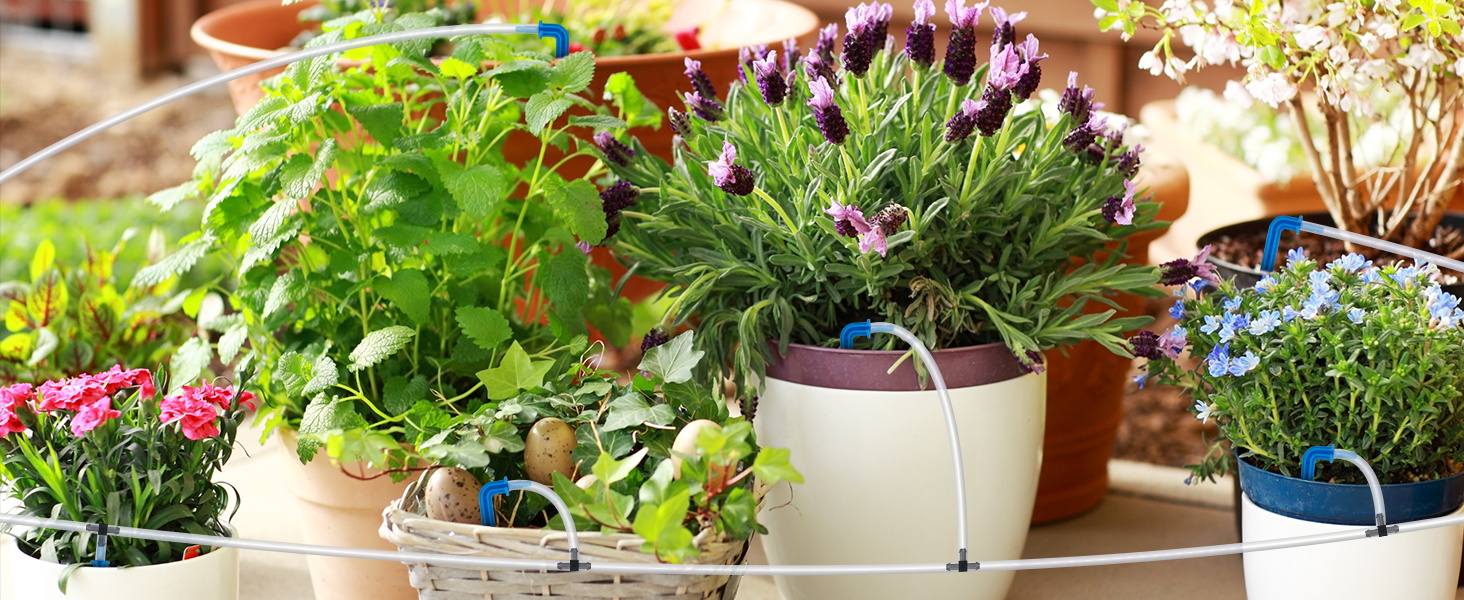 Automatic Plant Waterer