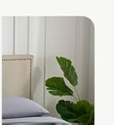 Bed Pillows, Bedsheet Set