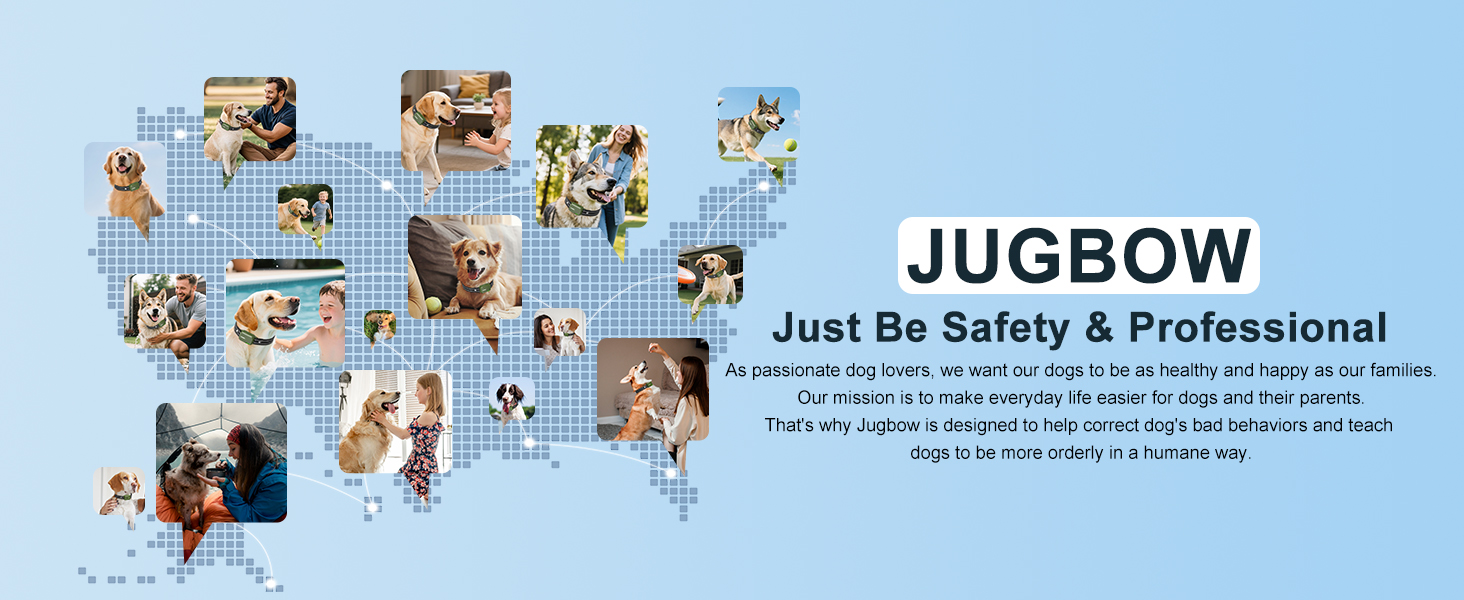 shock training collar for dogs