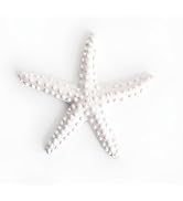 1Pc White Resin Ocean Beach Starfish Natural Seashell Starfish Ornaments for Wedding Decor Beach ...