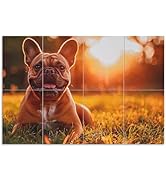 QUEENLINK 8 Pack Art Acoustic Panels, 48