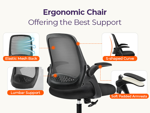 Ergonomic Chair with Comprehensive Support