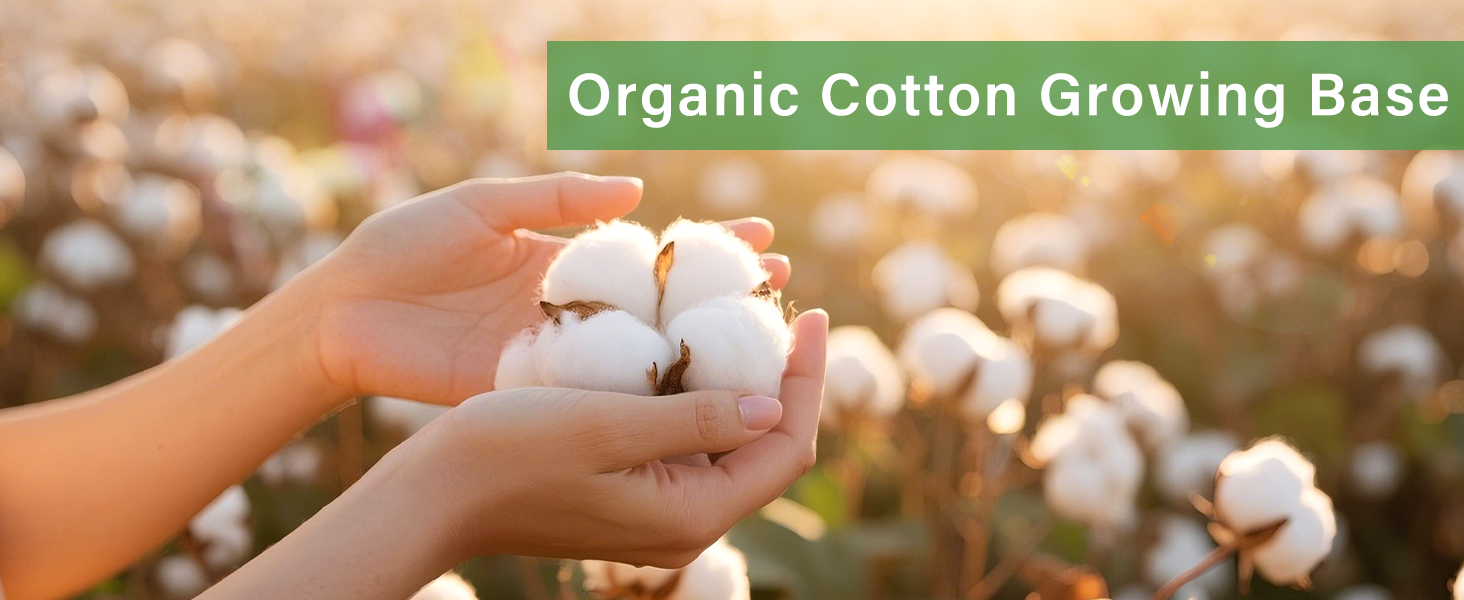 Organic Cotton Growing Base