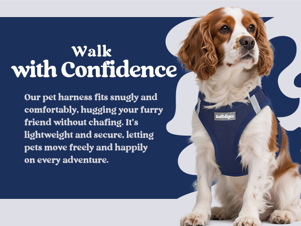 navy blue harness for small dogs