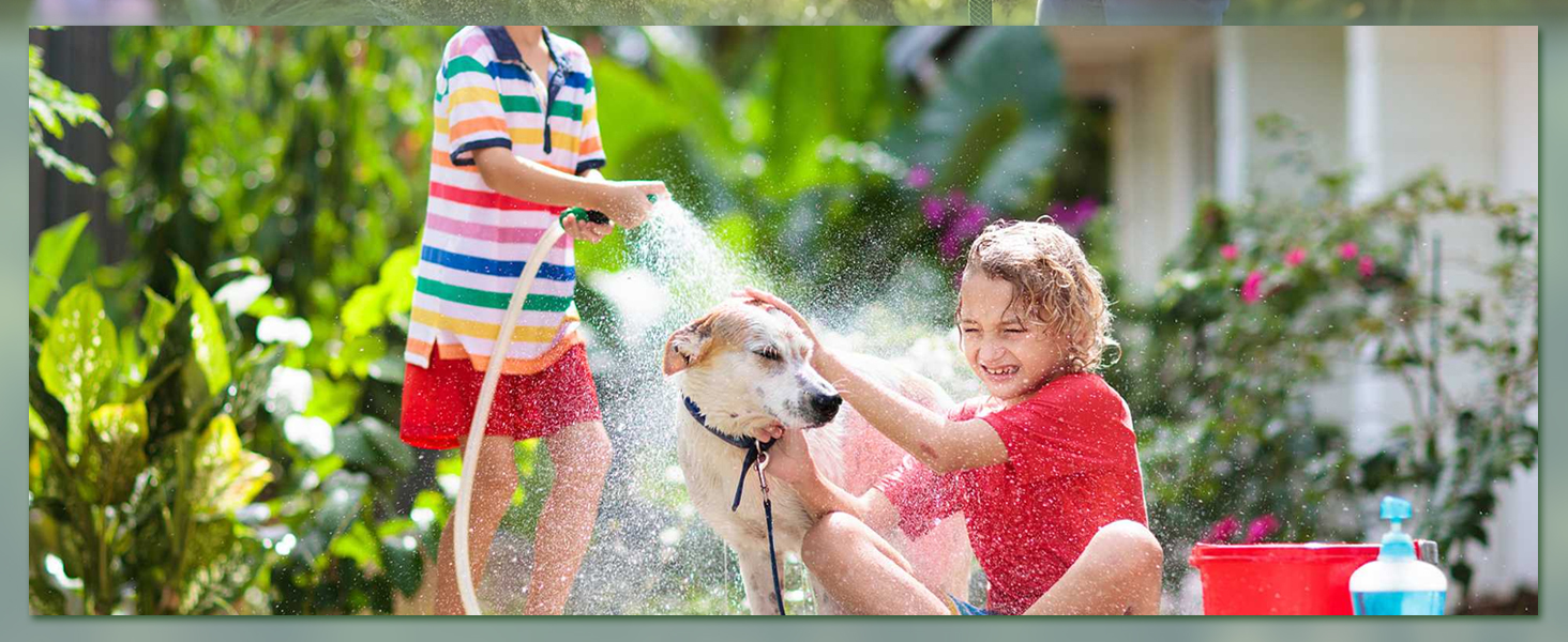 Pet Washing