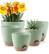 YNNICO Plant Pots 10/9/8/7.5/7 inch, Self Watering Planters with Drainage Holes &amp; Saucers for Ind...