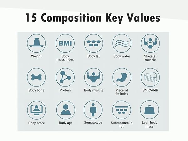 IF1201D Mobile 15 Compositon