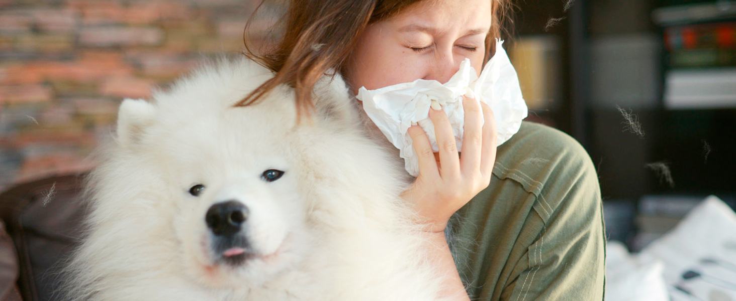 air purifiers for home large room hepa air purifier air purifiers for pets