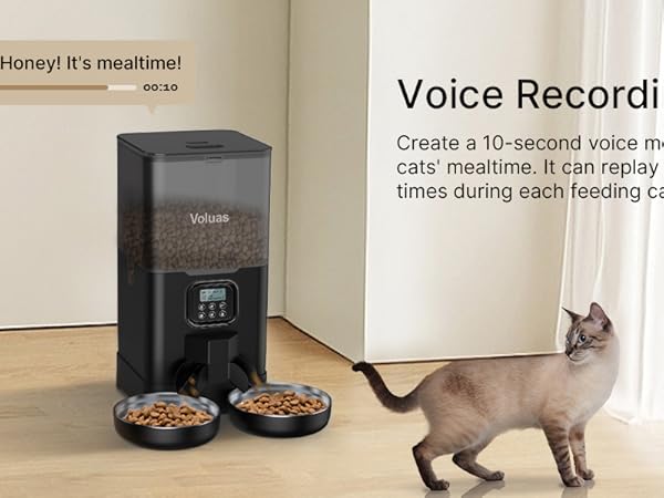 automatic cat feeders
