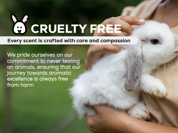 cruelty free air humidifier difusor de aromas para casa diffusers for essential oils large room