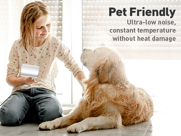 hair dryer with diffuser