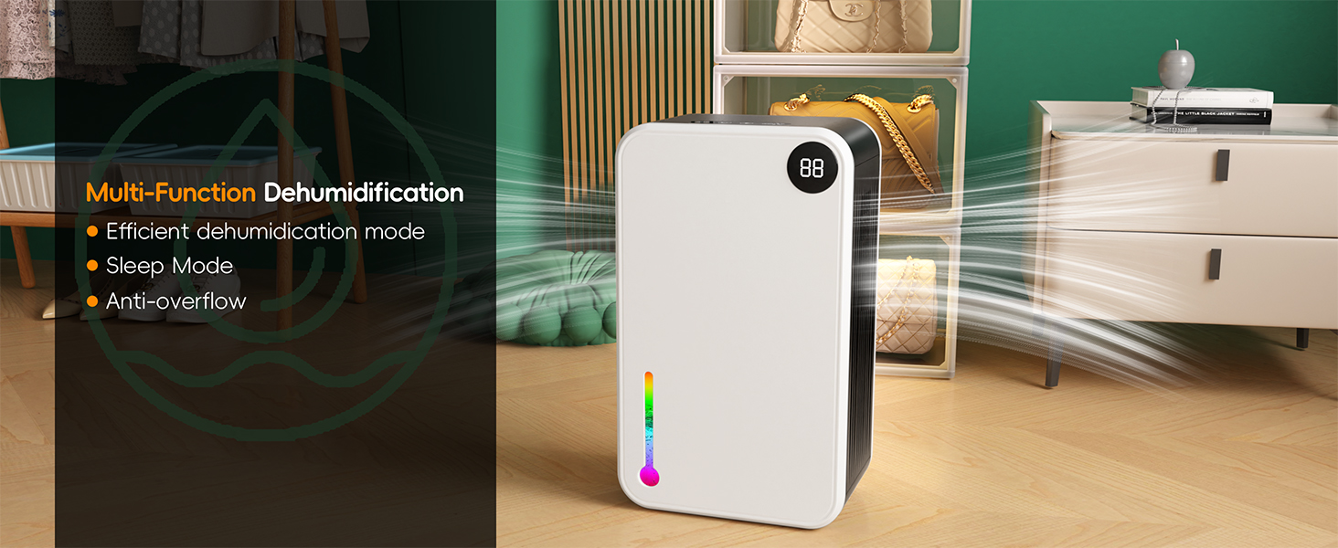 Dehumidifier