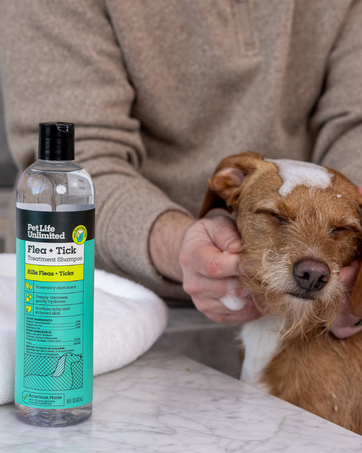 Dog getting a bath with Pet Life Unlimited&amp;#39;s Flea and Tick Shampoo