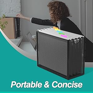 Hanging file organizer