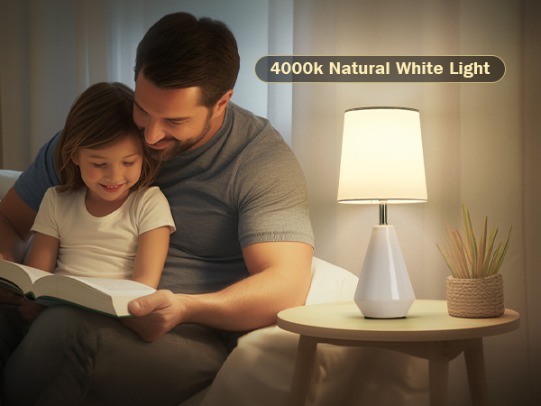 bedside lamps ,table lamps set of 2 ,farmhouse table lamp,table lamp ,farmhouse table lamps