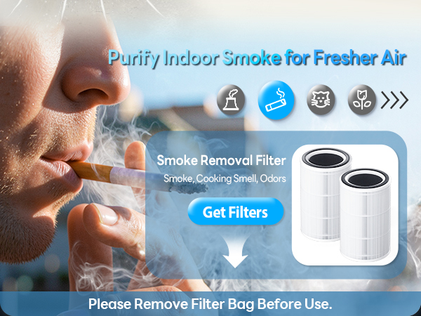 air purifiers for home large room