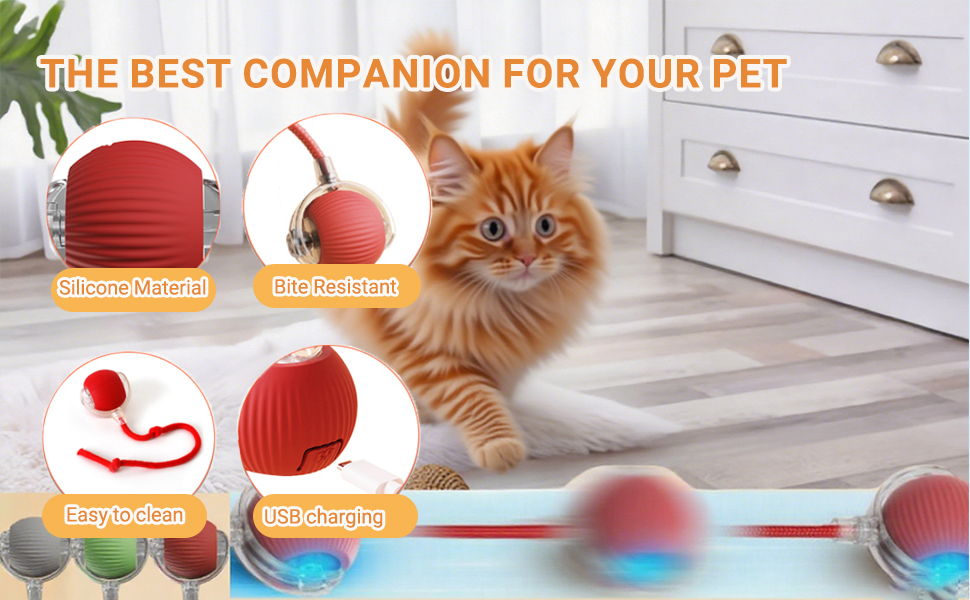 Interactive Dog Cat Toys Balls