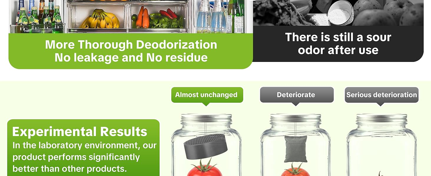 refrigerator deodorizer