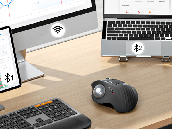 EM01 NL Ergonomic Trackball Mouse