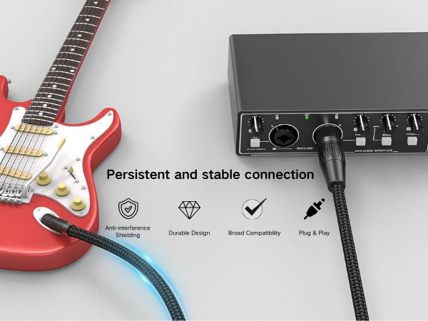 6.35mm to XLR Balanced Audio Cord