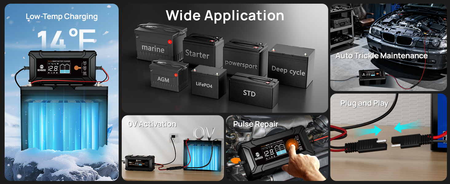 5A LifePO4 Battery Charger