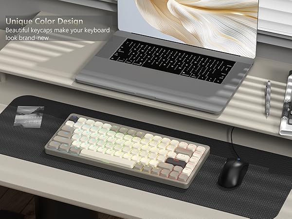 PBT Keycaps Full Size Keyboard Keycaps