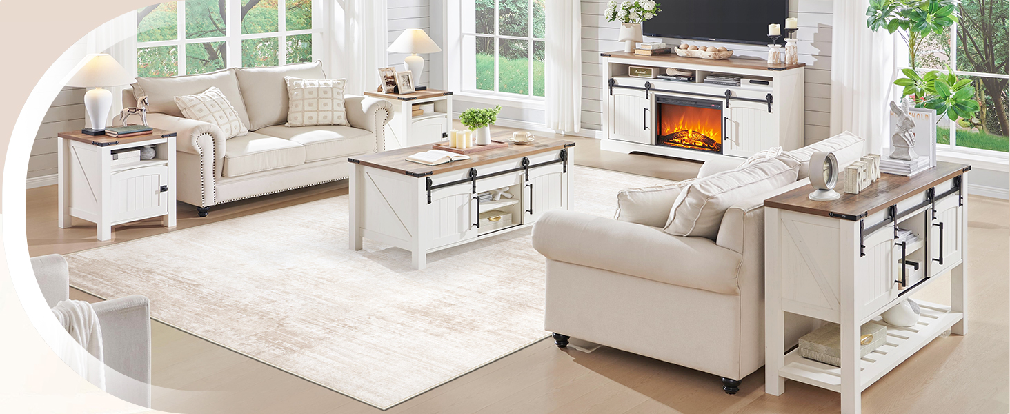 Living Room Rug