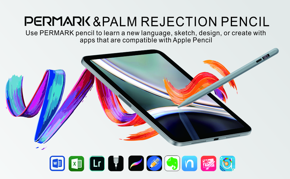 iPad stylus