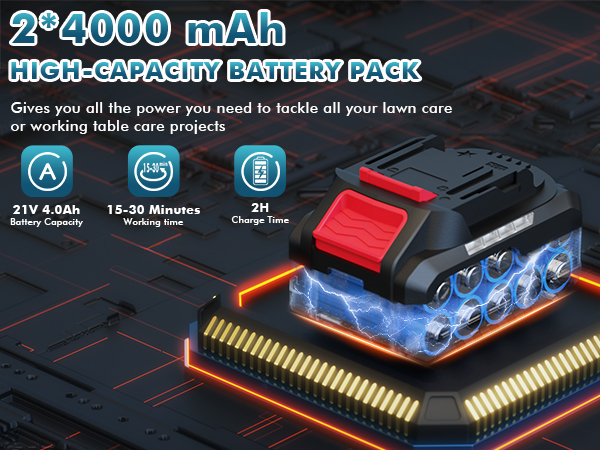 Leaf Blower with 2 Batteries and Charger