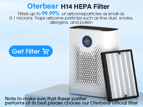 air purifier for allergies