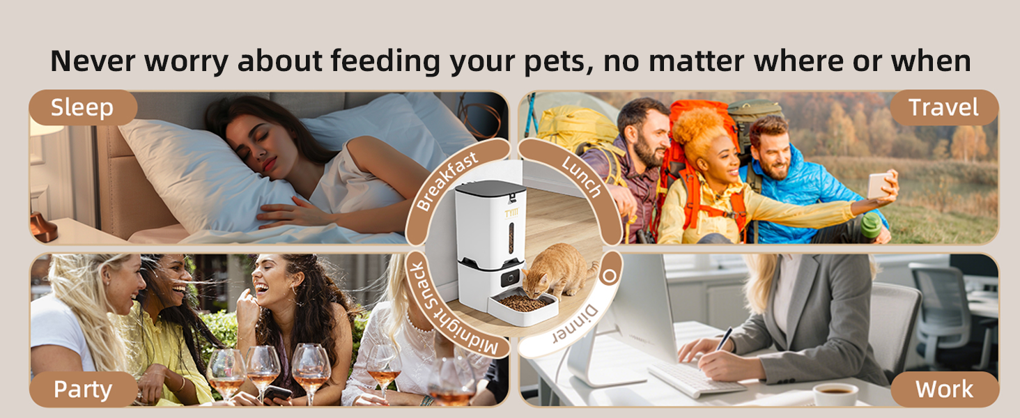 timed cat food feeder