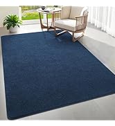 Woottpe 4x6 Feet Area Rugs for Living Room Bedroom,Blue Thickened Memory Foam Rug,Low Pile Minima...